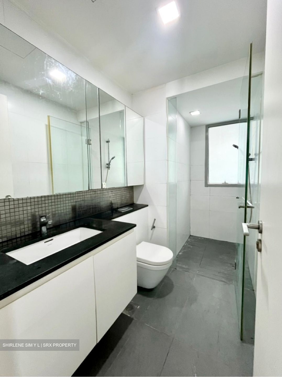 The Minton (D19), Condominium #590972521